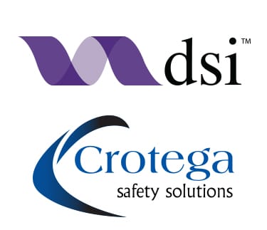 Branding, Logos, dsi, Crotega